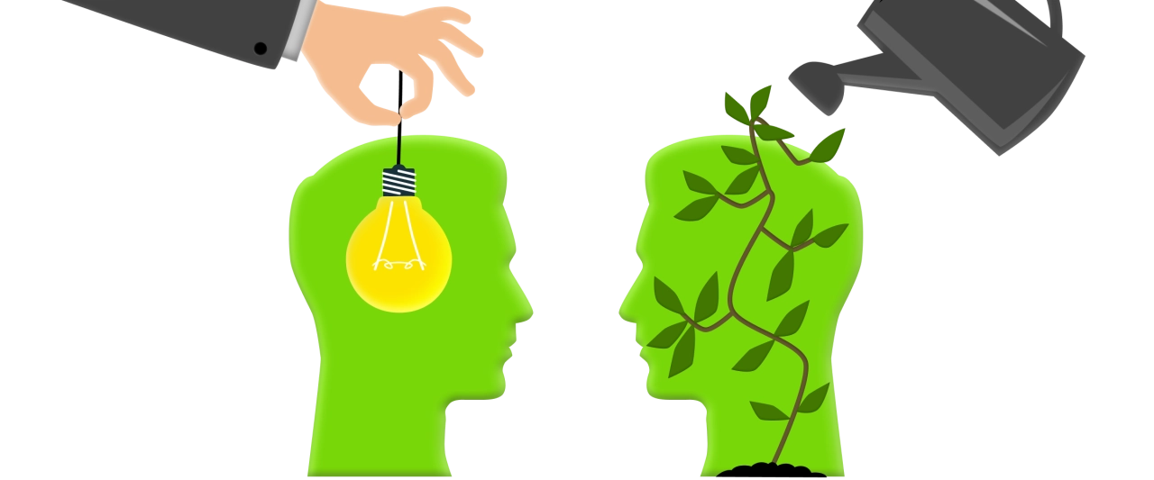 Нанять руководителя или вырастить