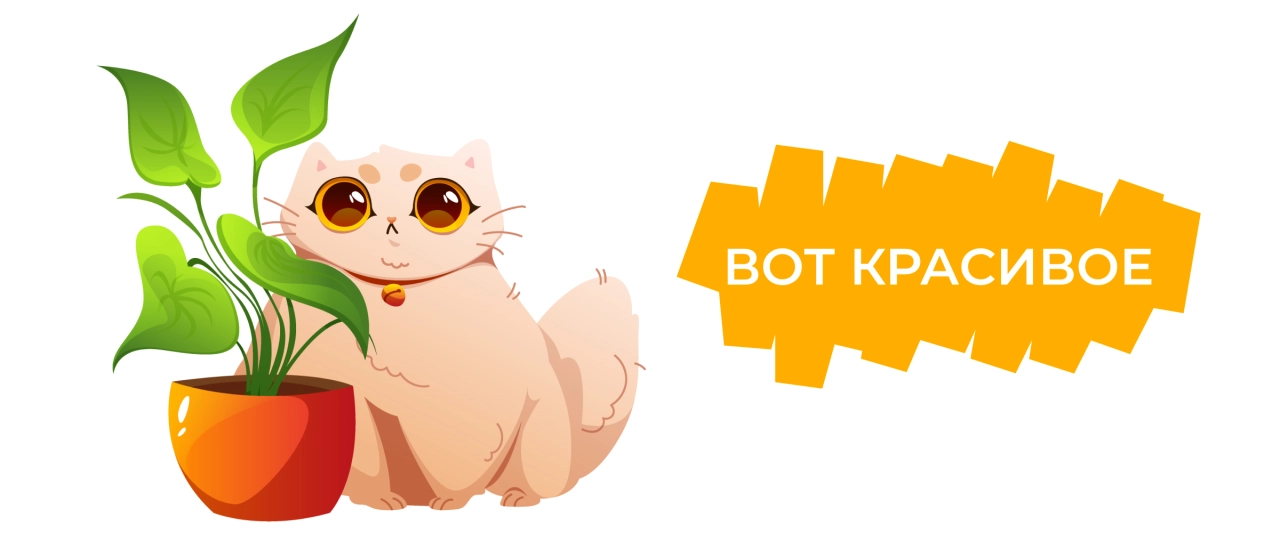 Результаты проекта