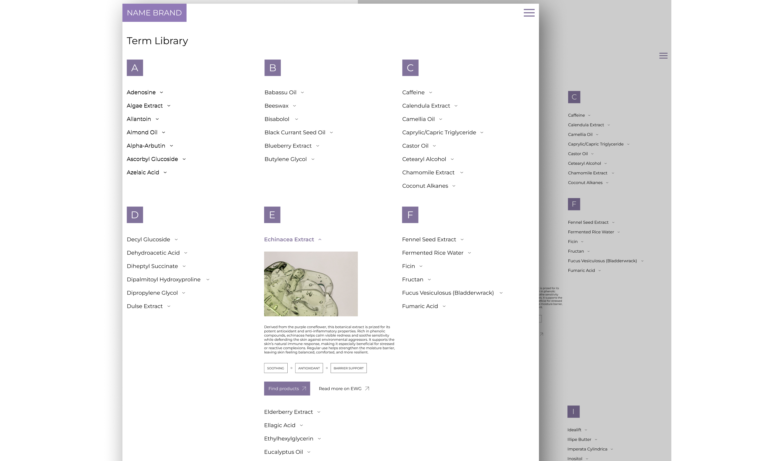 Вывели раздел с терминами Вывели раздел с терминами