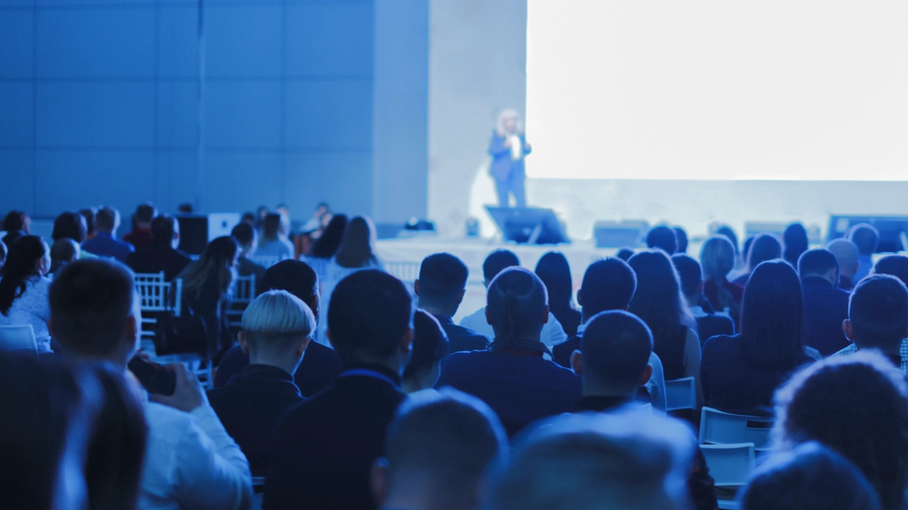 Стали спонсорами UDW2024